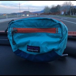Patagonia Fanny Pack